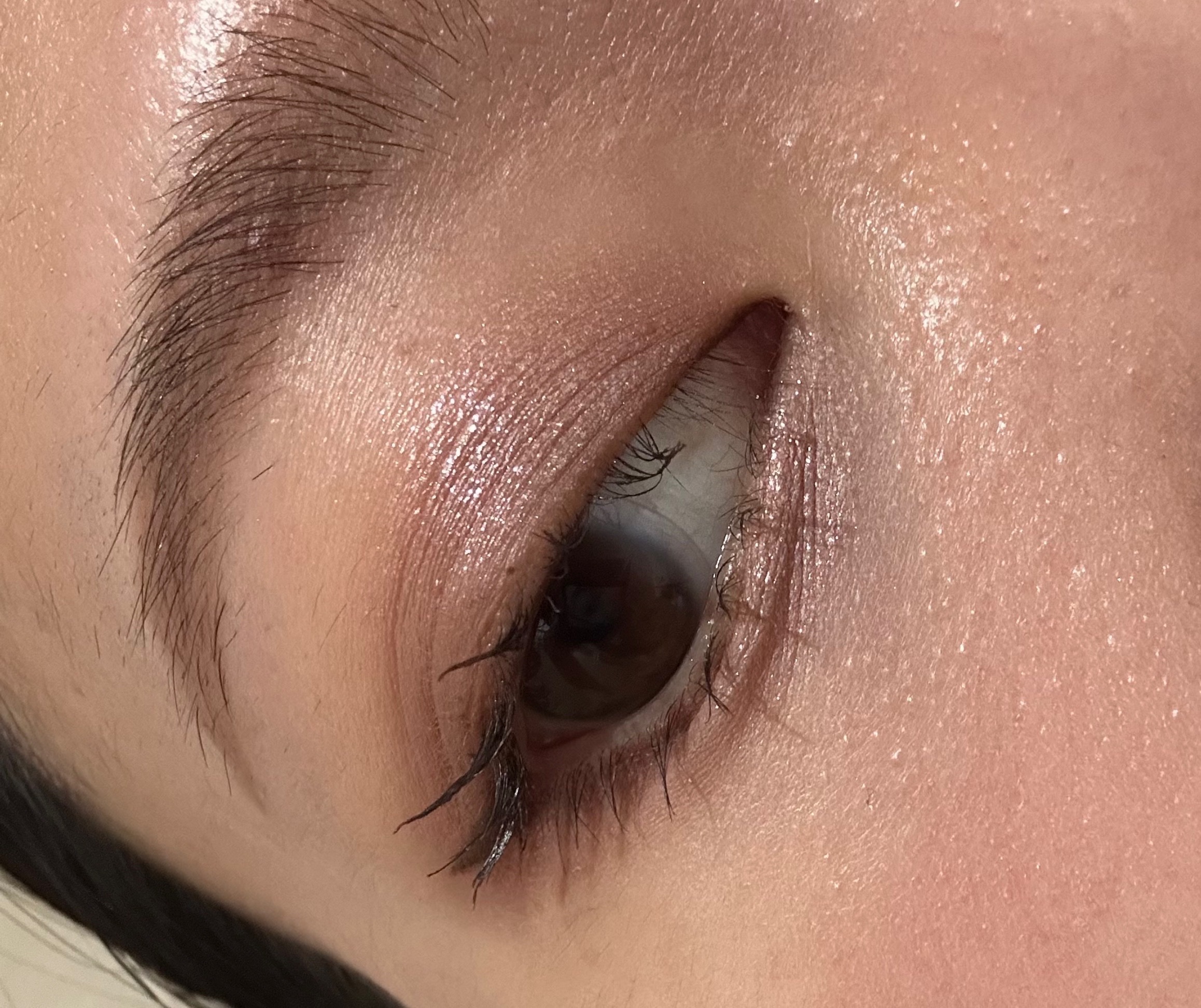 ESTEE LAUDER ザ エッセンシャル アイシャドウ クアッドのクチコミ「今回は、新しくリニューアルした
ESTEE LAUDERの
『ザ エッセンシャル アイシャドウ.....」（3枚目）