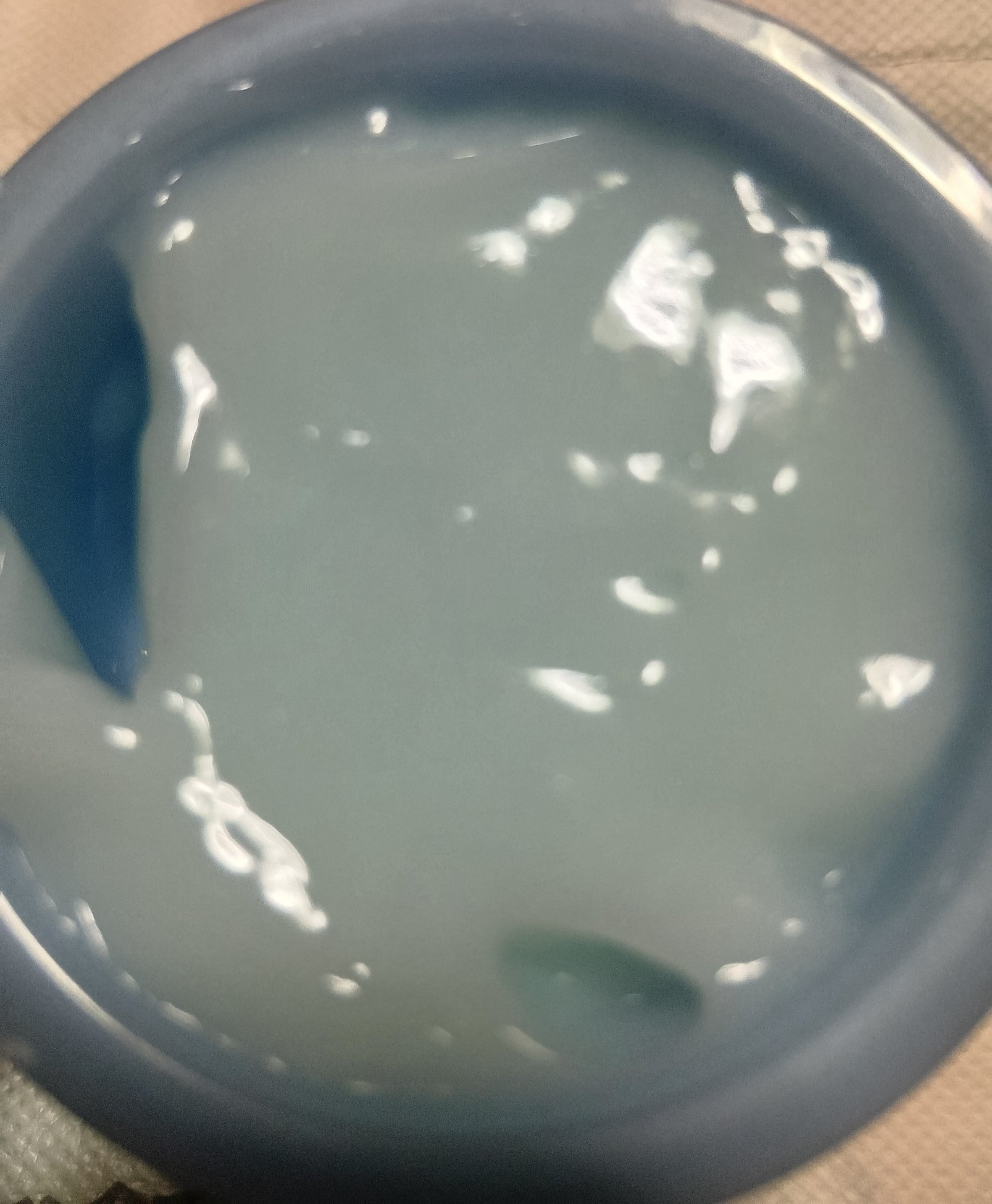 シカスリーピングマスク N/LANEIGE/フェイスクリームを使ったクチコミ（3枚目）