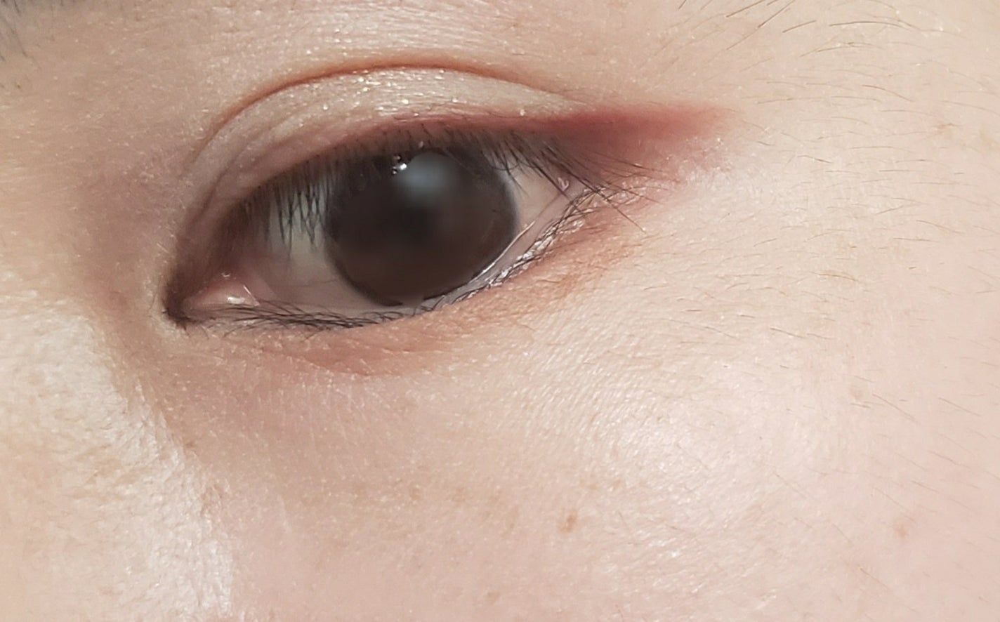 エクスプローラ12色 動物アイシャドウパレット/PERFECT DIARY/アイシャドウパレットを使ったクチコミ(4枚目)