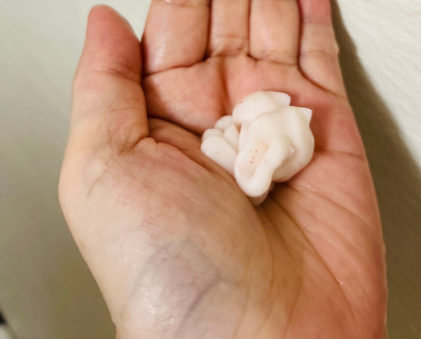 レチスパクリームシャンプー/レチスパ/市販シャンプーを使ったクチコミ(2枚目)