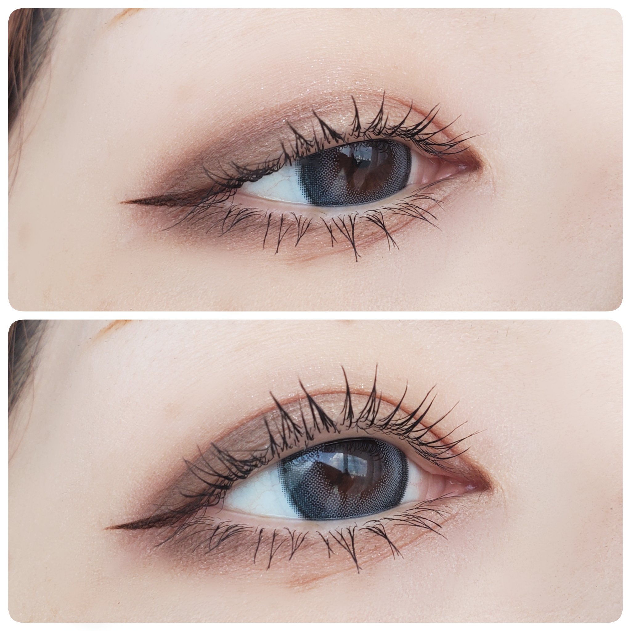 Angelcolor Bambi Series 1day /AngelColor/ワンデー（１DAY）カラコンを使ったクチコミ（3枚目）