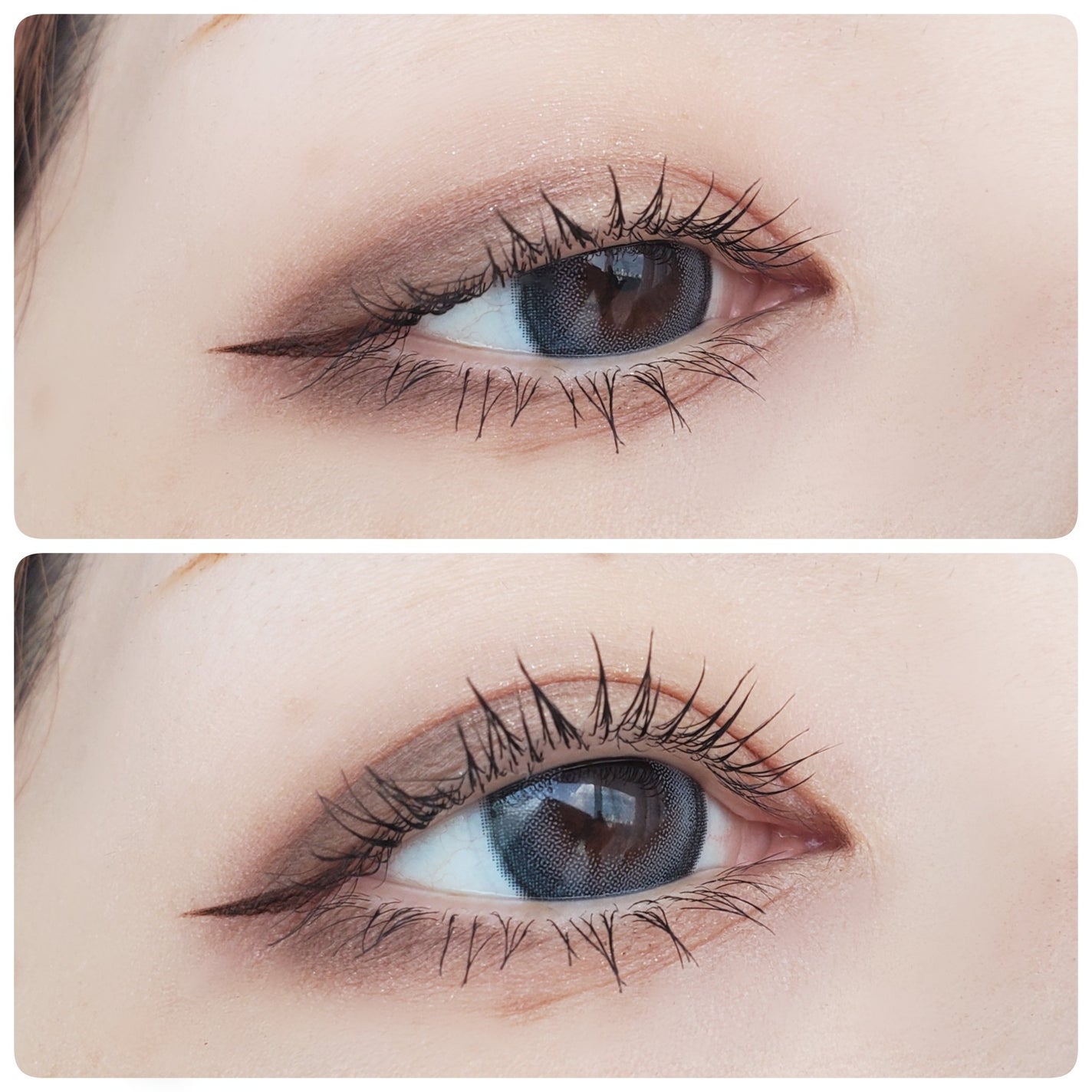 Angelcolor Bambi Series 1day /AngelColor/ワンデー(1DAY)カラコンを使ったクチコミ(3枚目)