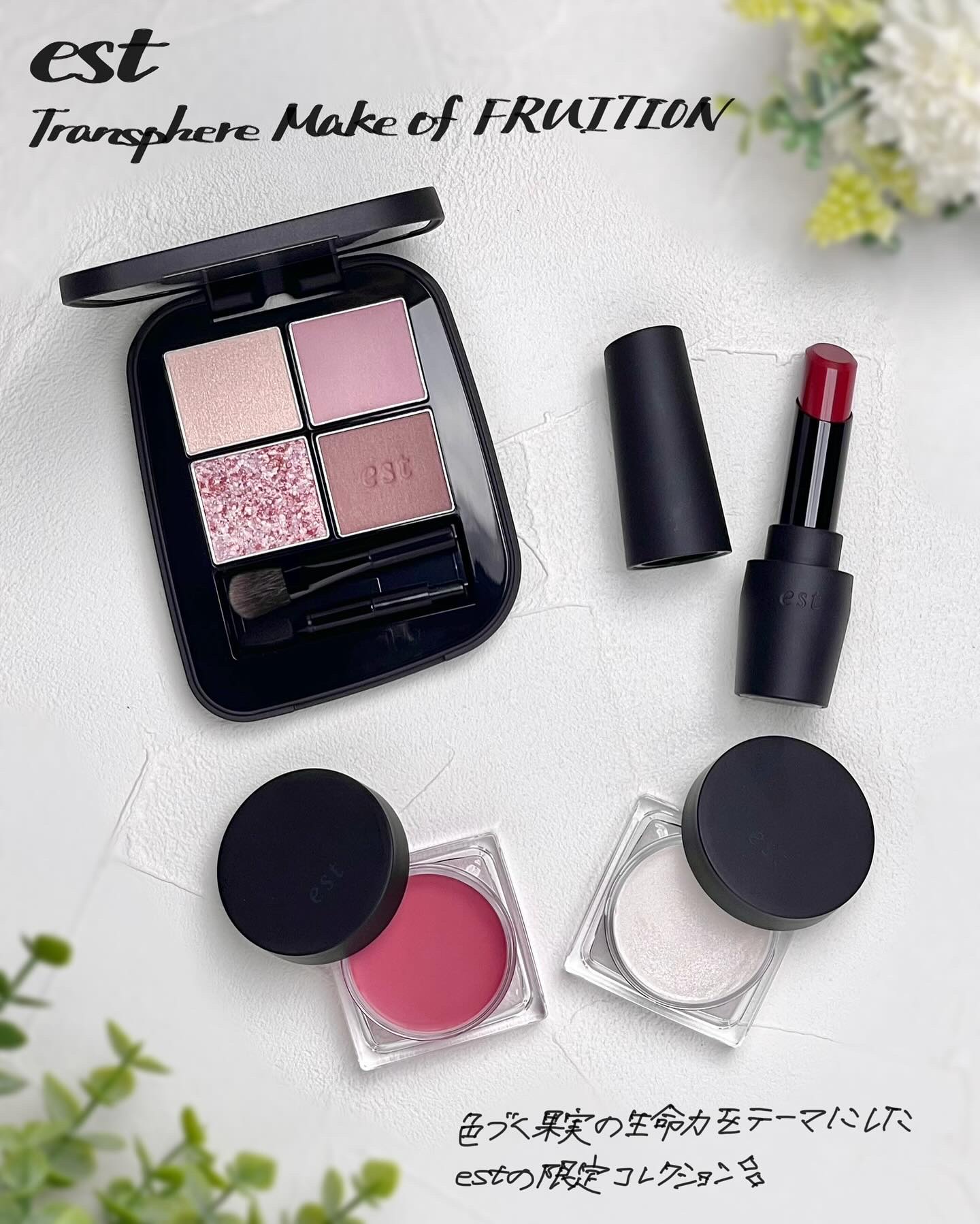 エスト トランスフィア アイカラー/est/アイシャドウパレットを使ったクチコミ（1枚目）