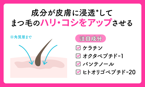 成分が皮膚に浸透*してまつ毛のハリ・コシをアップさせる。注目成分はケラチン・オクタペプチド -1・パンテノール、ヒトオリゴペプチド-20。*角質層まで