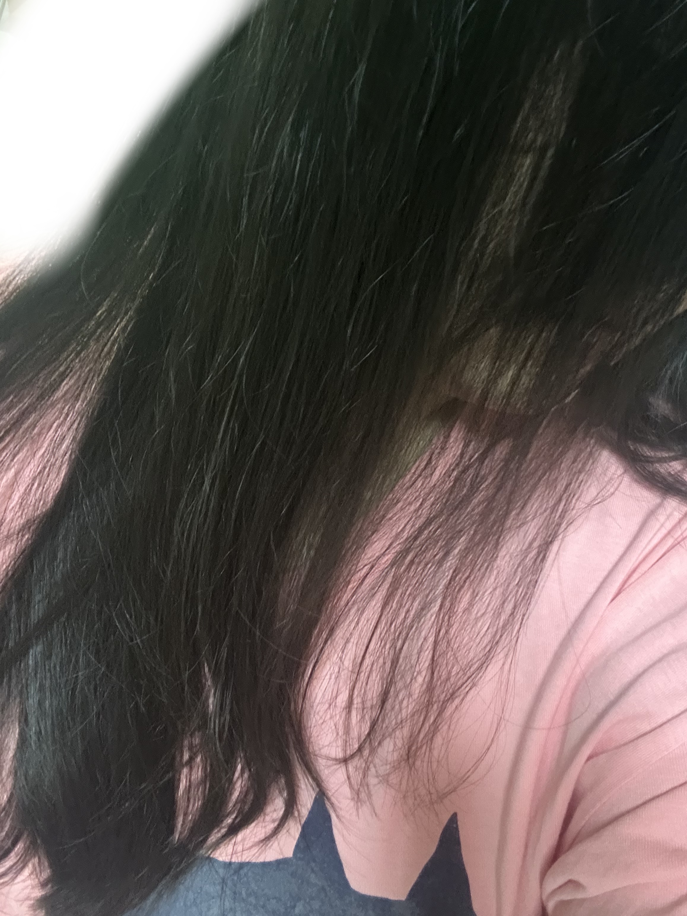 キヨプタ しゃんぷー/とりーとめんと とりーとめんと（300mL）/キヨプタ/市販シャンプーを使ったクチコミ（2枚目）