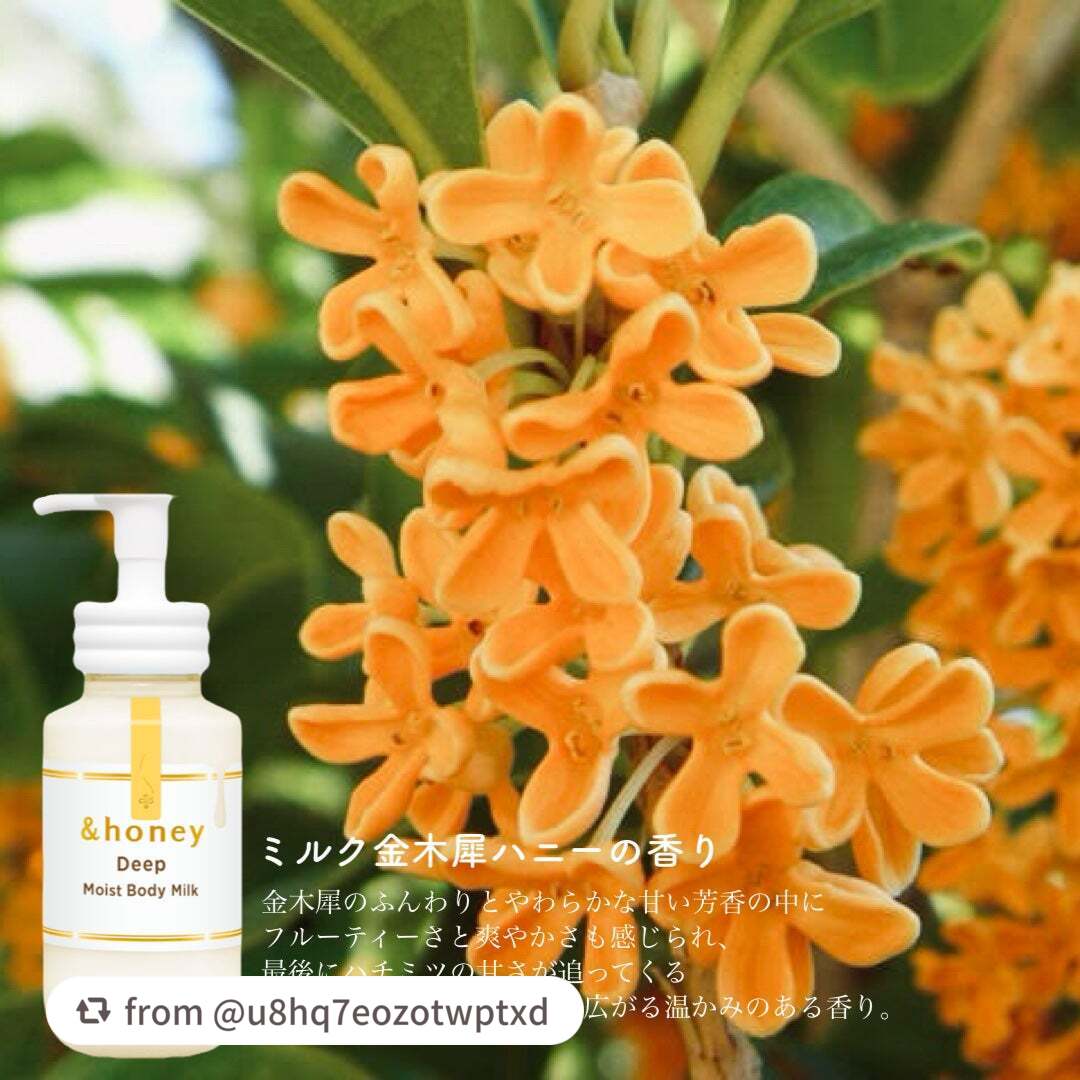 ディープ モイストボディミルク/&honey/ボディミルクを使ったクチコミ(6枚目)