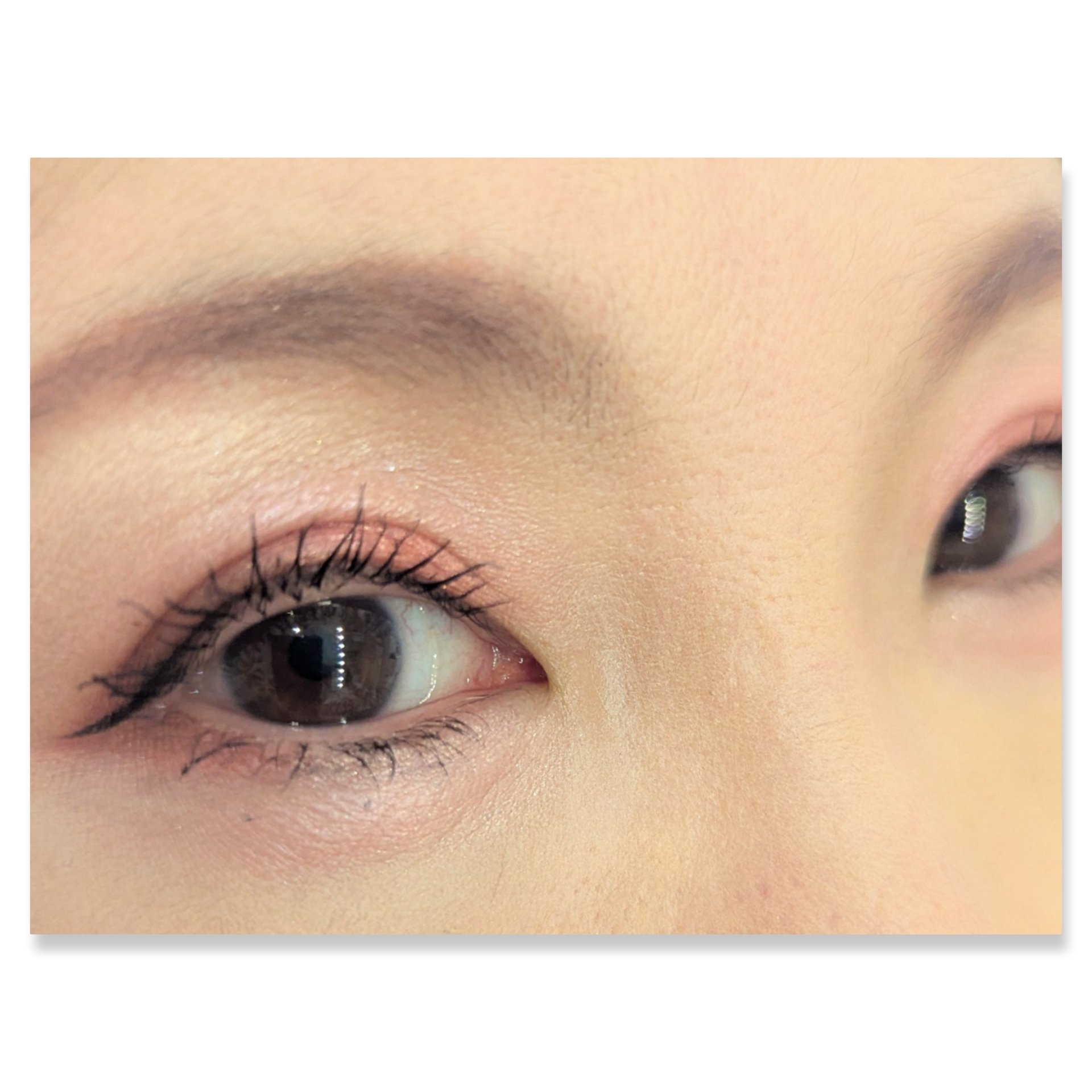 リアルクローズシャドウ/excel/アイシャドウパレットを使ったクチコミ（2枚目）