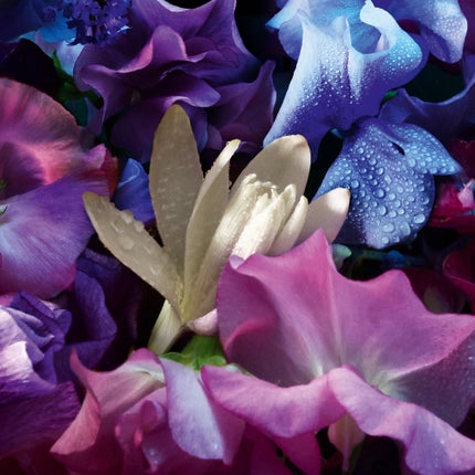 アクア アレゴリア フローラブルーム オーデトワレ/GUERLAIN/香水(その他)を使ったクチコミ(4枚目)