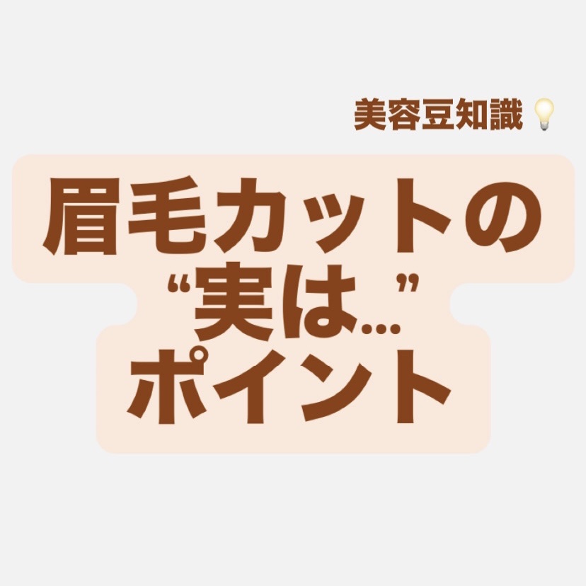 眉毛カットハサミ先曲タイプ/DAISO/その他化粧小物を使ったクチコミ（1枚目）