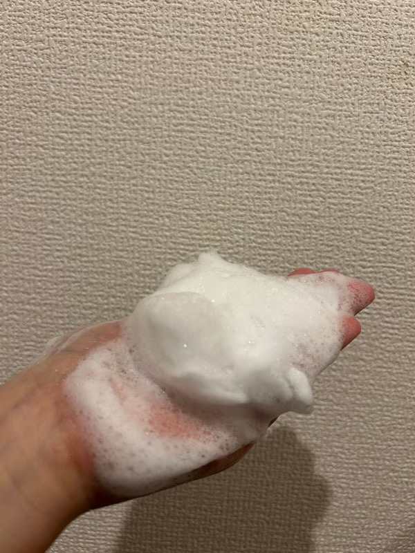 マイクロフォーム クレンザー(夜用洗顔)/LAGOM /クレンジングクリームを使ったクチコミ（2枚目）