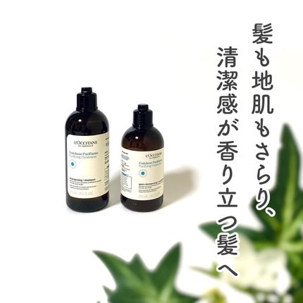 ピュアフレッシュ シャンプー/ コンディショナー コンディショナー本体(250mL)/L'OCCITANE/市販シャンプーの画像
