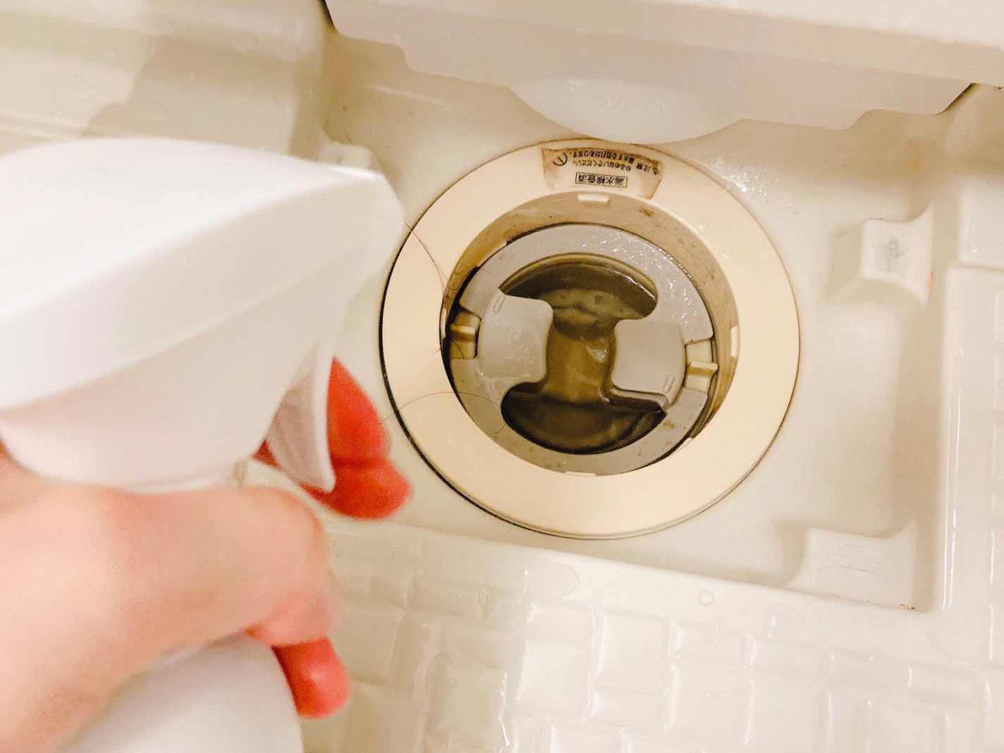 Mol clear Pro/ホコニコ/その他を使ったクチコミ(8枚目)