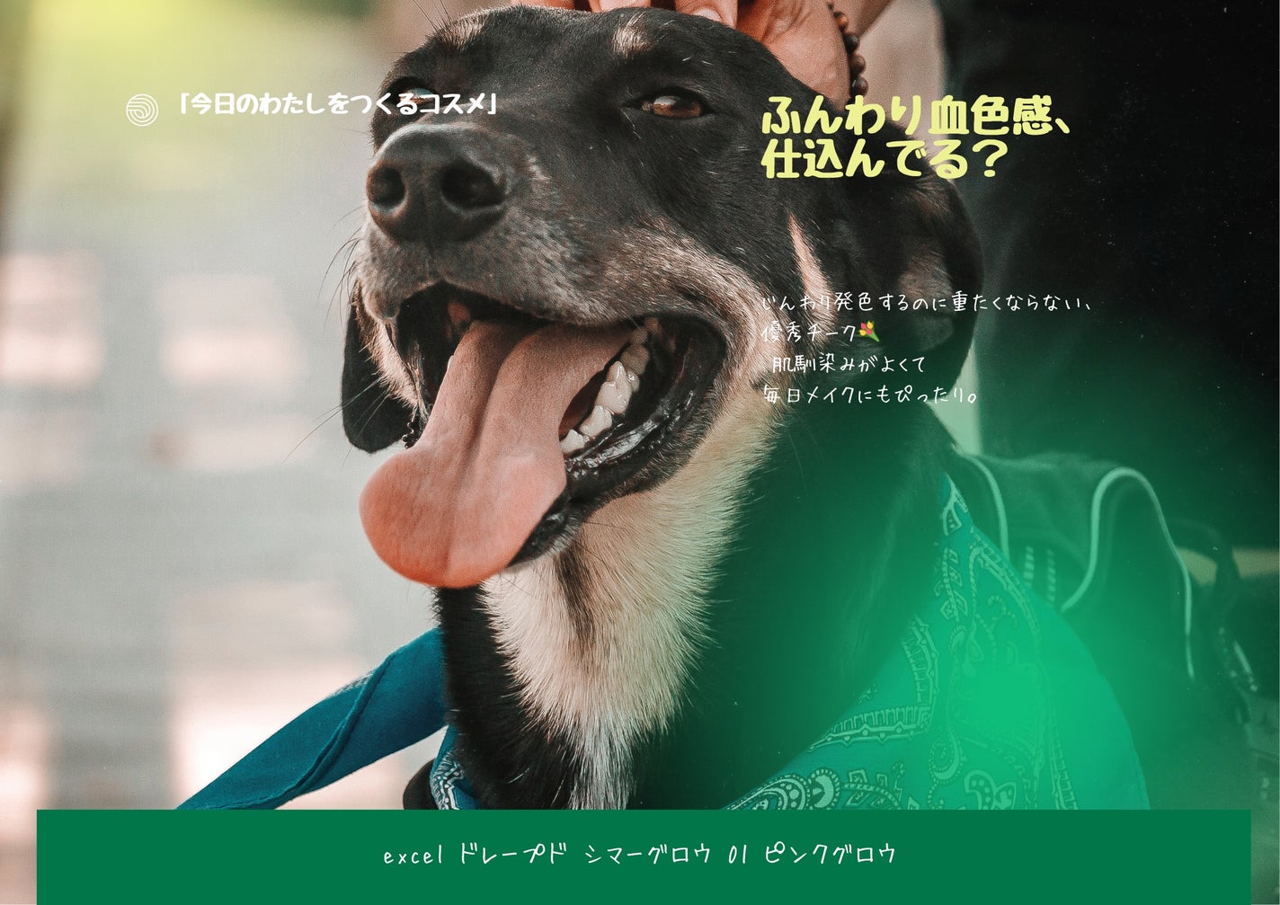 ドレープド シマーグロウ/excel/パウダーハイライトを使ったクチコミ(1枚目)