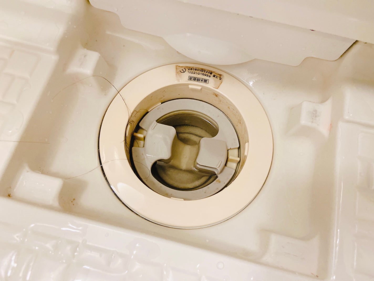 Mol clear Pro/ホコニコ/その他を使ったクチコミ(7枚目)