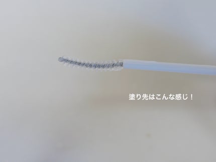 フェニックス アイラッシュサポートジェル/オデットアイラッシュコスメティクス/まつげ美容液を使ったクチコミ(3枚目)