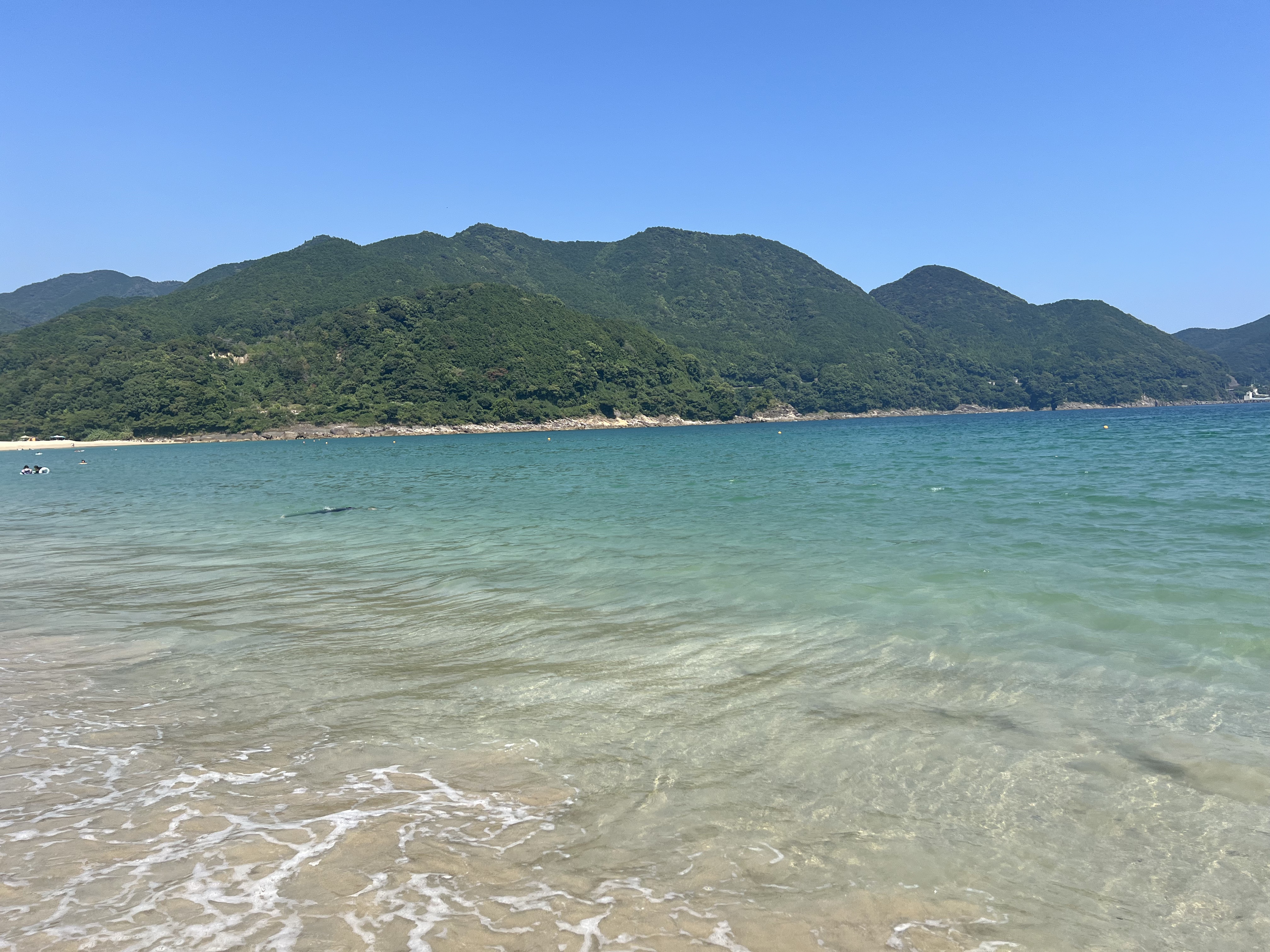 アンテリージェＥＸ サンプロテクター ＷＰ パーフェクトミルク/アンテリージェEX/日焼け止めミルクを使ったクチコミ（3枚目）