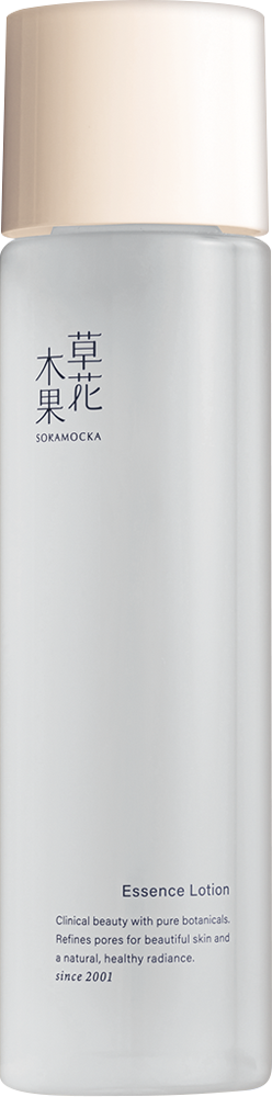 草花木果 クリスマスコレクション 2025【A】 草花木果