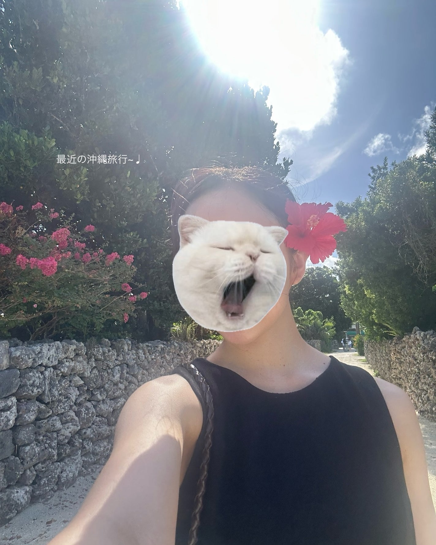 アビ|お金をかけない美容♡ on LIPS 「投稿に入りきらなかった美容...👇🏻ˊ˗___________..」(10枚目)