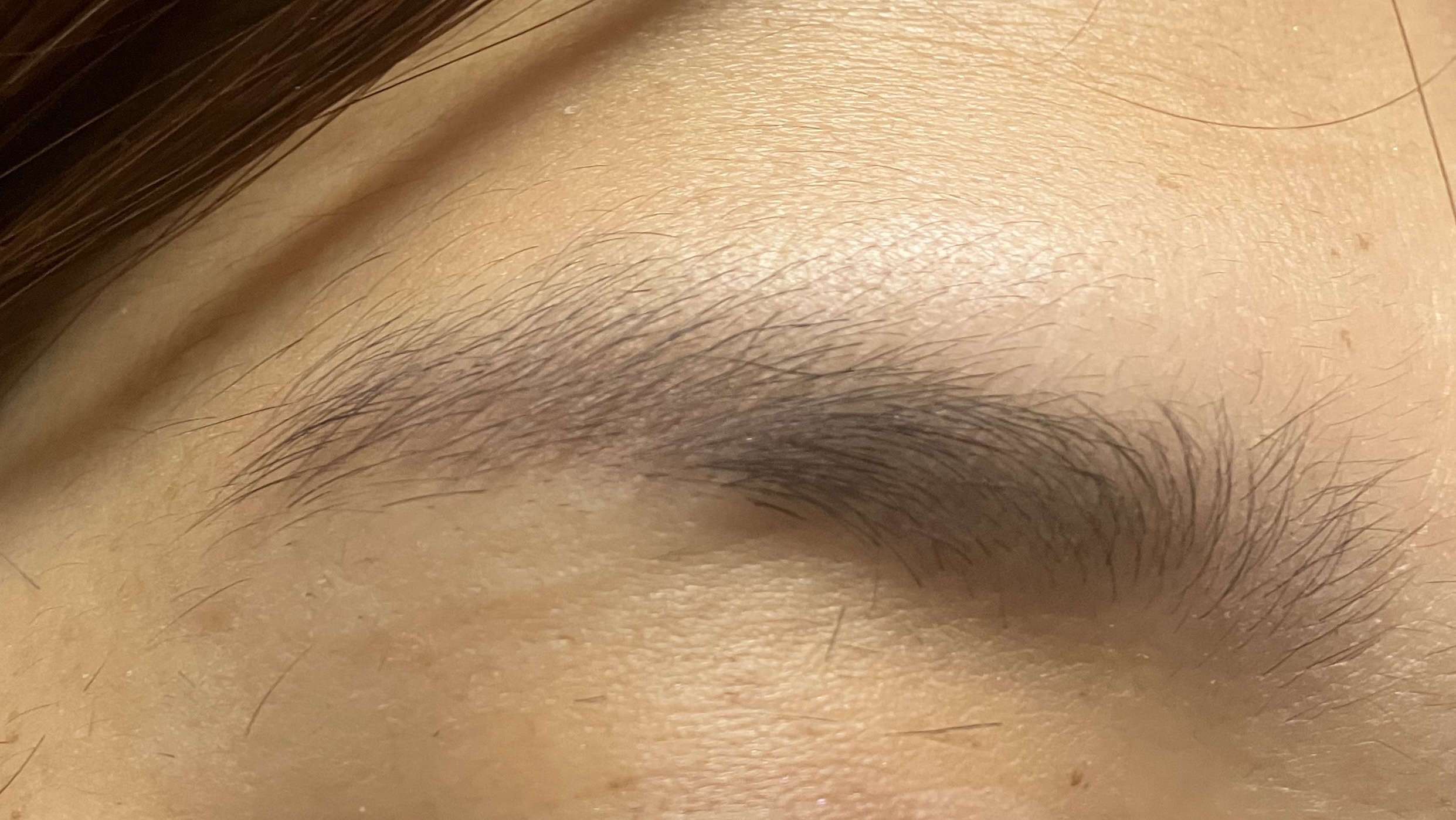 ジルスチュアート ブルームニュアンスブロウパレット/JILL STUART/パウダーアイブロウを使ったクチコミ（2枚目）