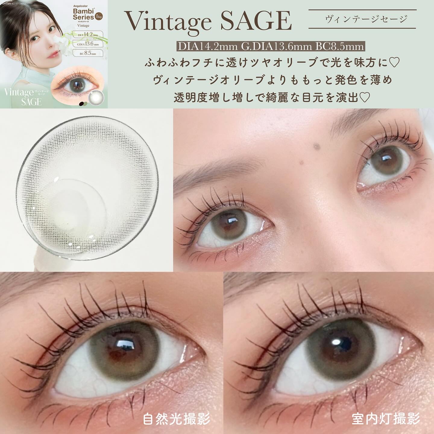 Angelcolor Bambi Series Vintage 1day/AngelColor/ワンデー（１DAY）カラコンを使ったクチコミ（3枚目）