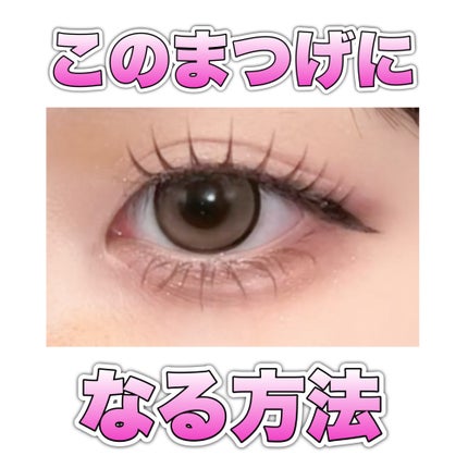 ディンティ アイラッシュ/Dinty/つけまつげを使ったクチコミ(1枚目)