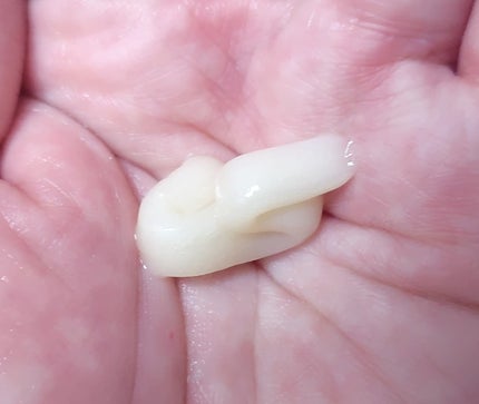 スーパーリッチシャイン ダメージリペア 補修シャンプー / 補修コンディショナー/LUX/市販シャンプーを使ったクチコミ(6枚目)