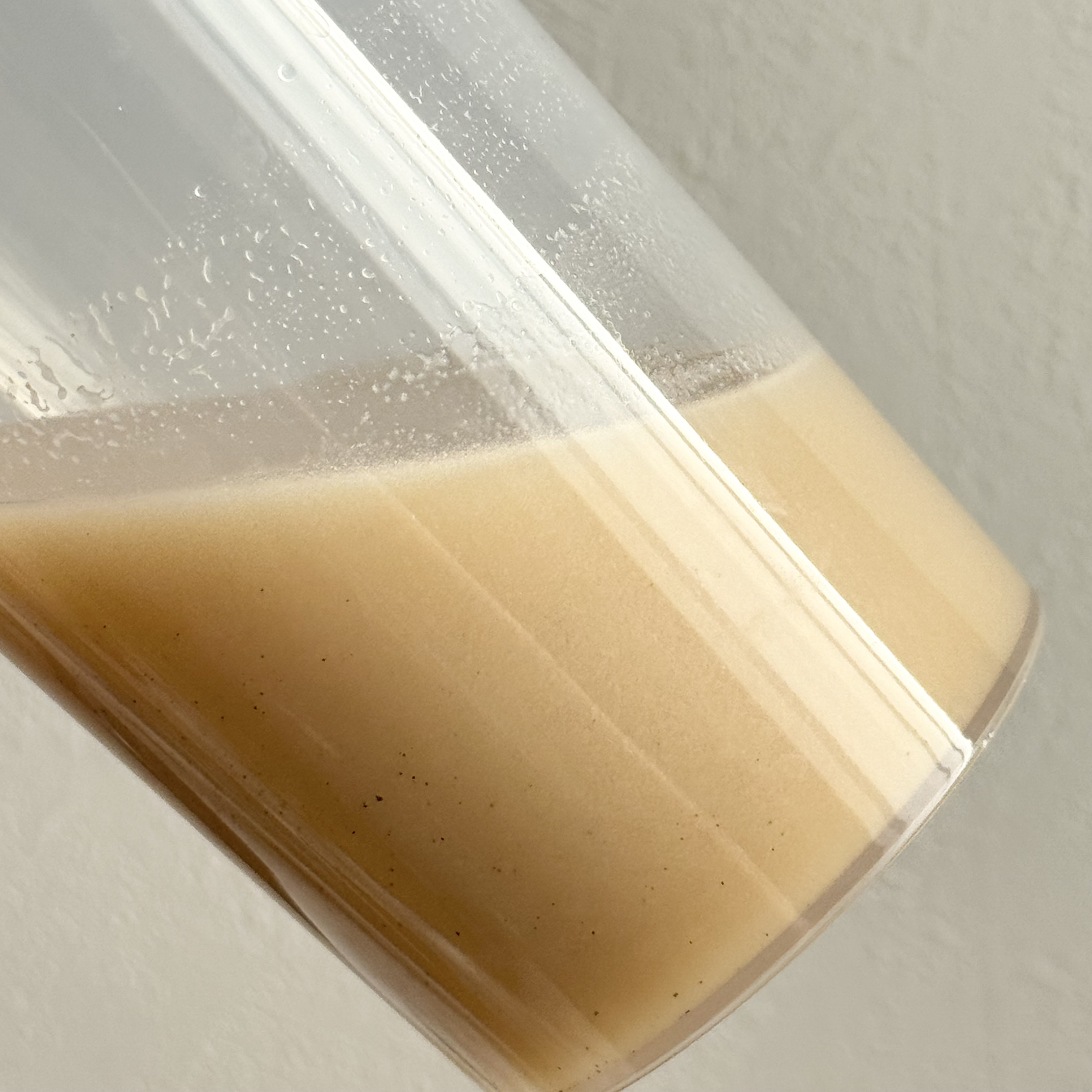 ドクターズナチュラルレシピ 美容プロテイン/ドクターズ ナチュラル レシピ/ソイプロテインを使ったクチコミ（3枚目）