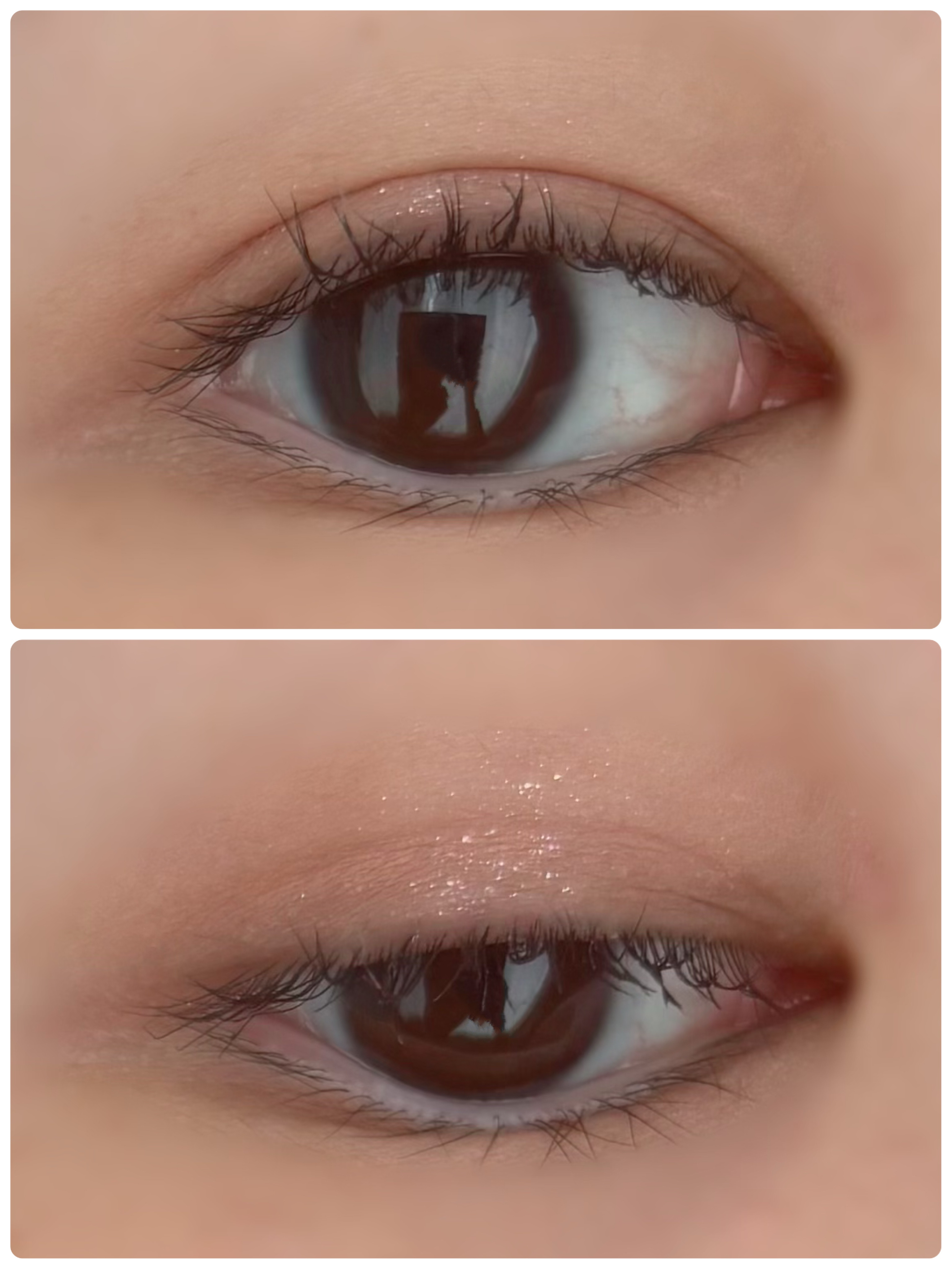 レディートゥーウェアアイパレット/BBIA/アイシャドウパレットを使ったクチコミ（2枚目）