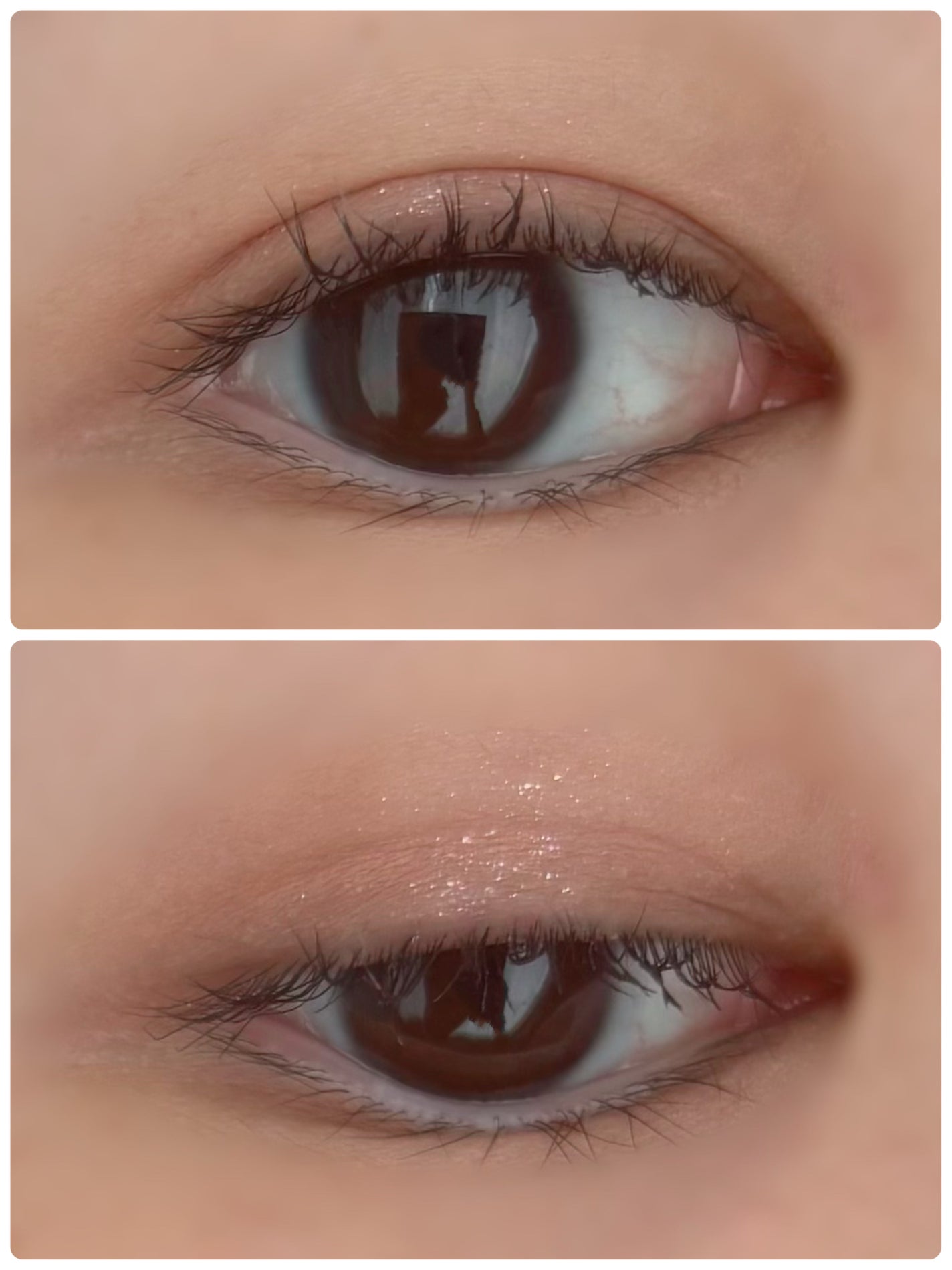 レディートゥーウェアアイパレット/BBIA/アイシャドウパレットを使ったクチコミ(2枚目)