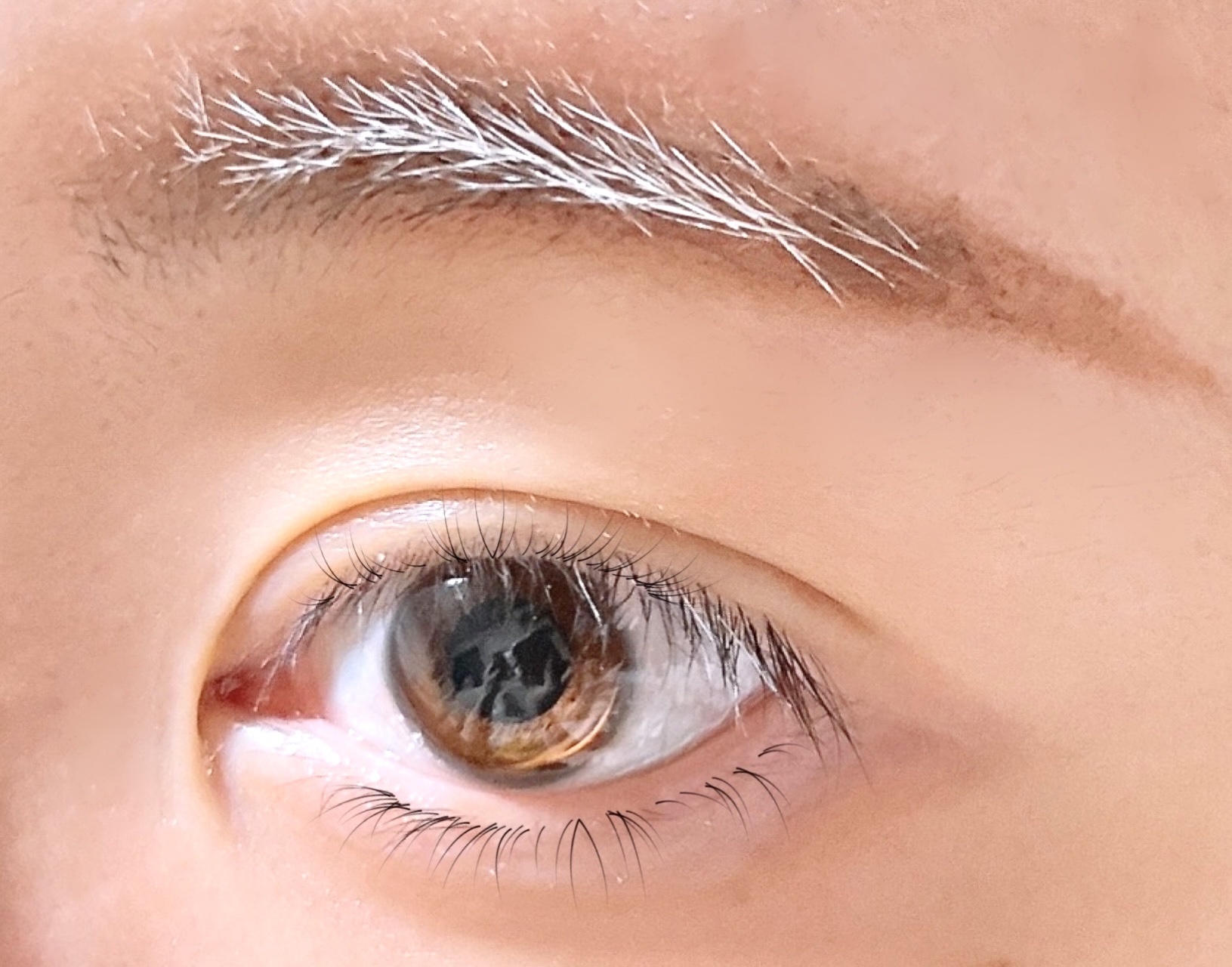 アイブロウブラシ/KATE/メイクブラシを使ったクチコミ（3枚目）