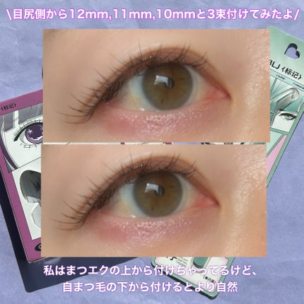 Butterfly Eyelash/BLJ/つけまつげを使ったクチコミ(6枚目)
