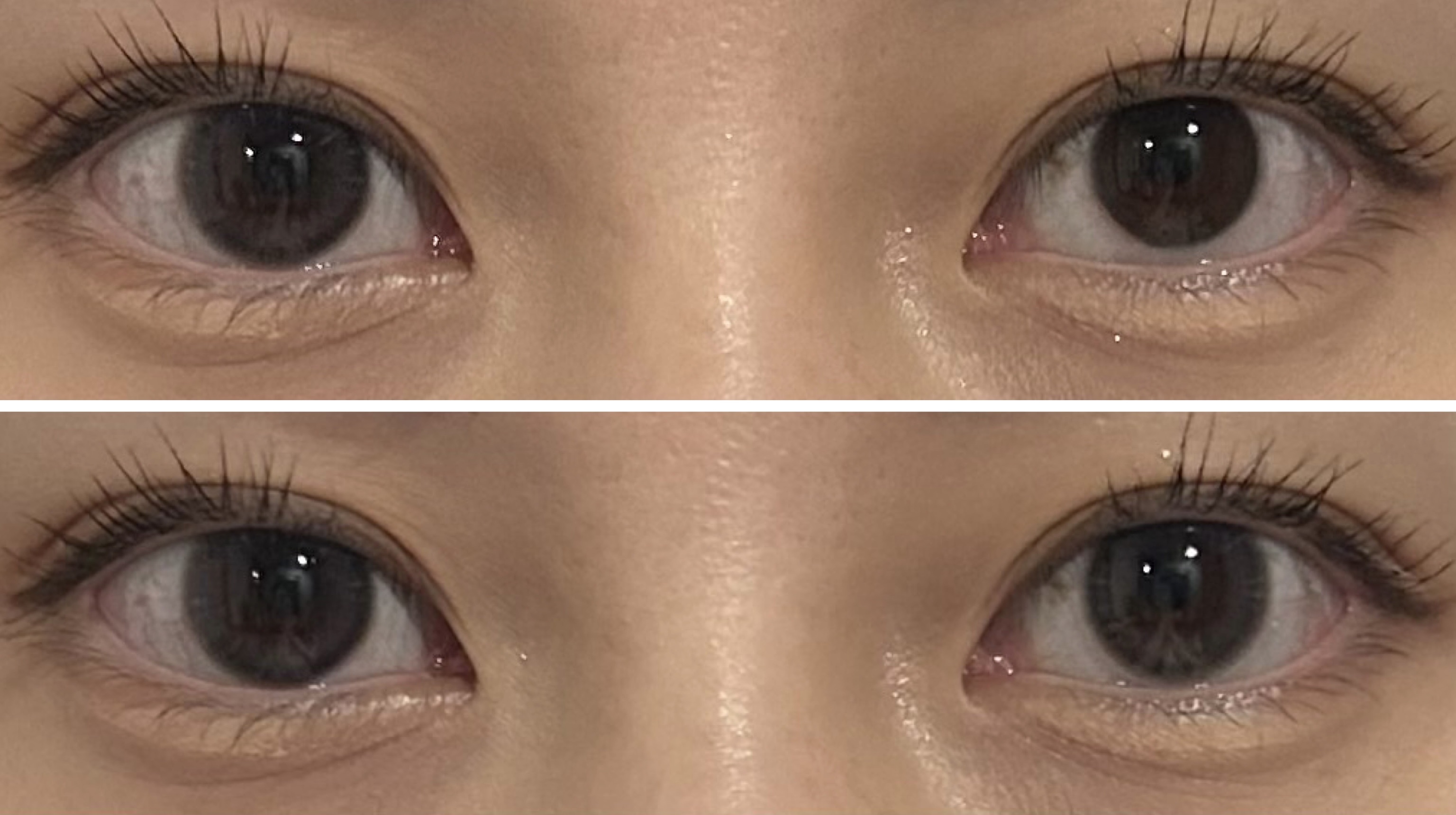 ProWink 1day/ProWink/ワンデー（１DAY）カラコンを使ったクチコミ（3枚目）