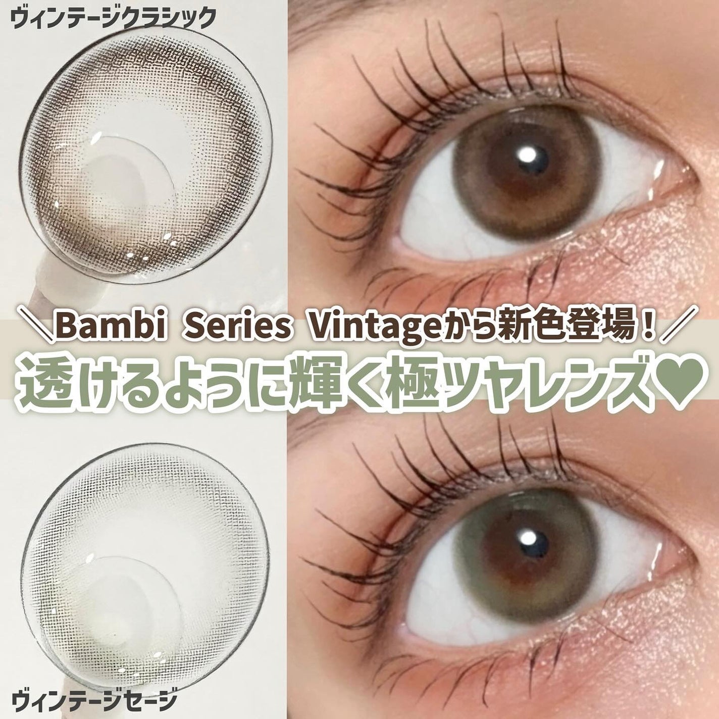 Angelcolor Bambi Series Vintage 1day/AngelColor/ワンデー(1DAY)カラコンを使ったクチコミ(1枚目)