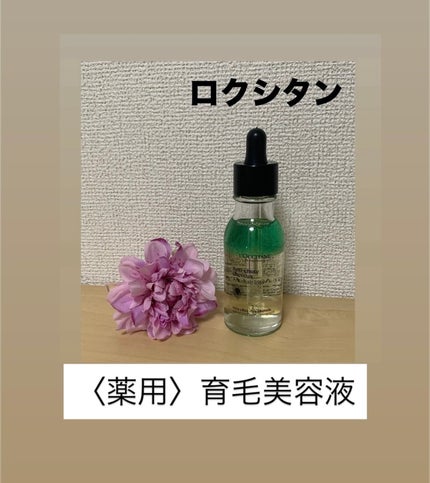 薬用 メディカル アンチヘアロスセラム/L'OCCITANE/頭皮ローションを使ったクチコミ(3枚目)