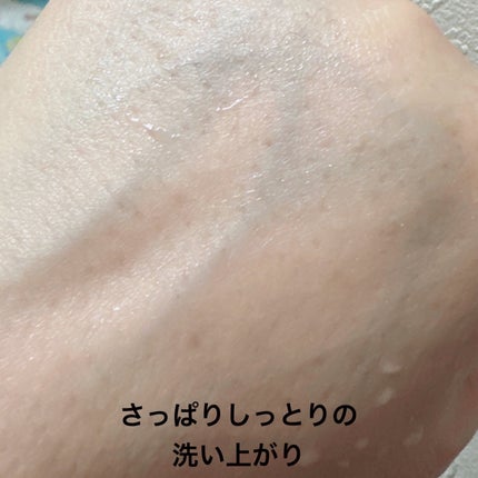 マイクロムース リフレッシャー 本体 160g/ALBLANC/泡洗顔の画像