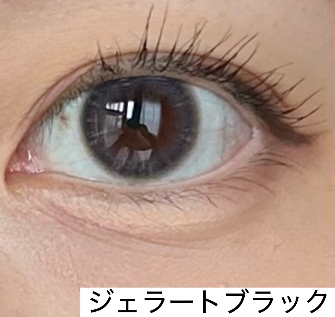 ProWink 1day/ProWink/ワンデー（１DAY）カラコンを使ったクチコミ（1枚目）