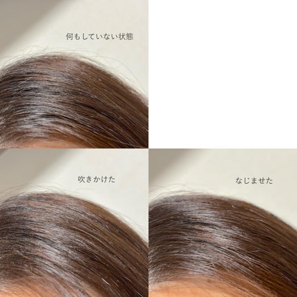 ボリューマイジング&スーディングヘアトニック/SallyZen/頭皮ローションを使ったクチコミ(4枚目)