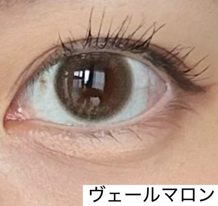 ProWink 1day/ProWink/ワンデー(1DAY)カラコンを使ったクチコミ(1枚目)