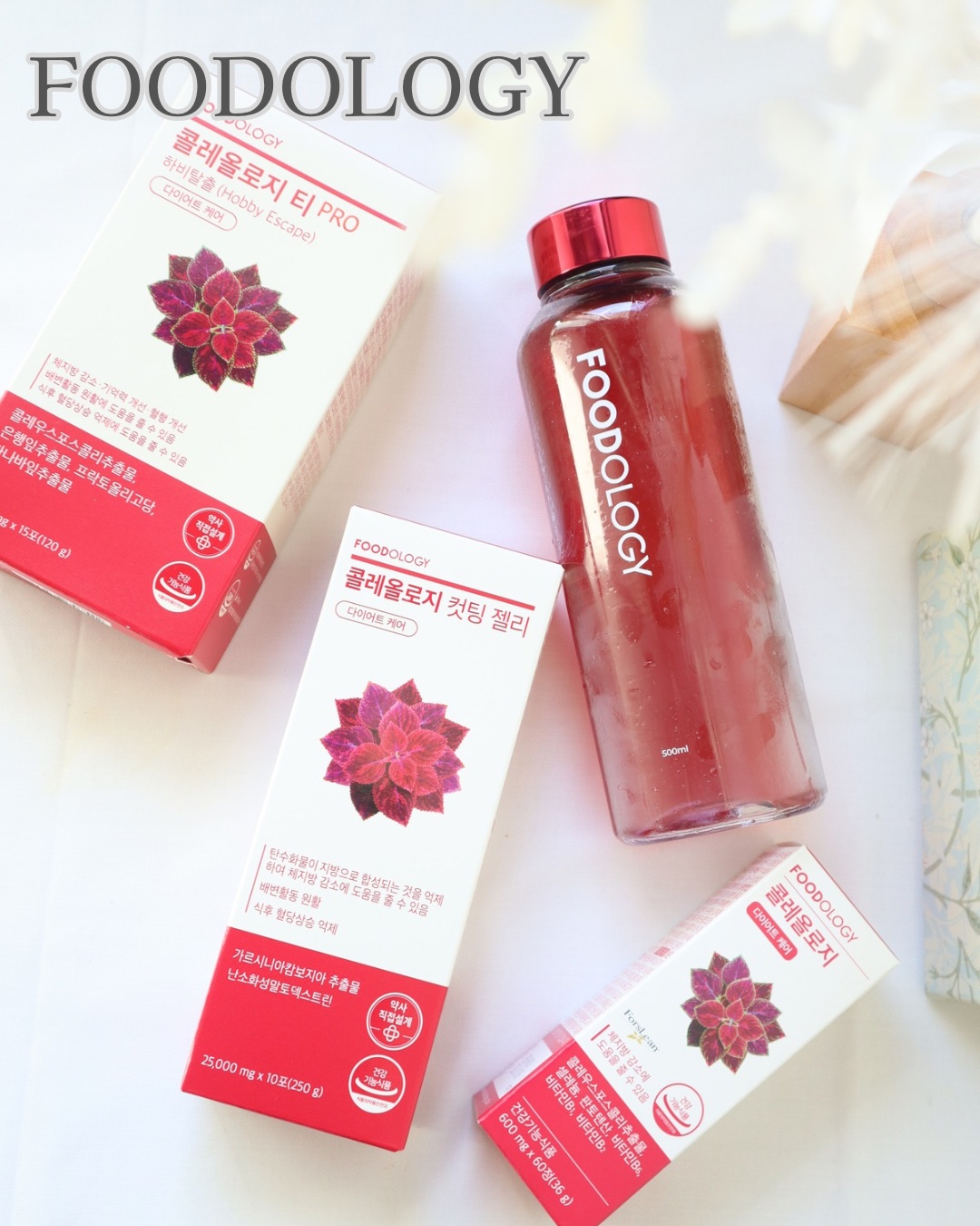コレオロジーティー/FOODOLOGY/ドリンクを使ったクチコミ（1枚目）