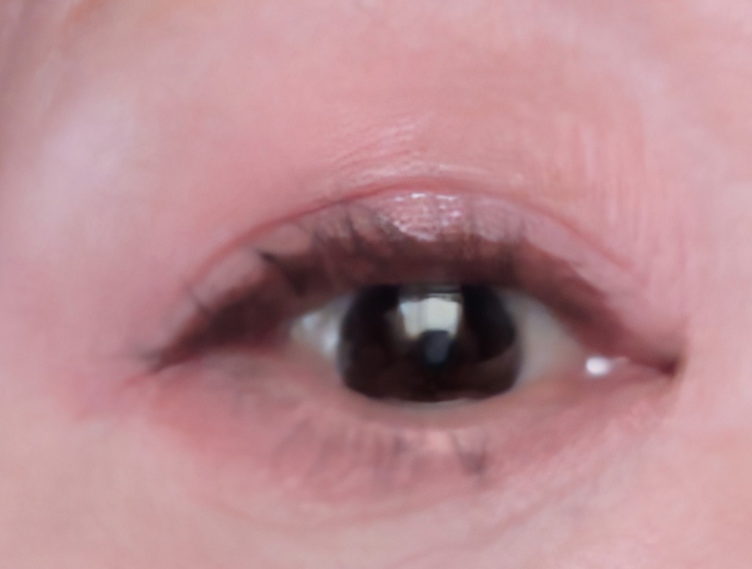 カクテルデイズ/KiSS/アイシャドウパレットを使ったクチコミ（2枚目）