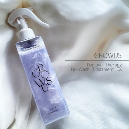 ダメージセラピーノーウォッシュトリートメントEXトゥルーミー (ムスクの香り)/GROWUS/ヘアミストを使ったクチコミ(1枚目)