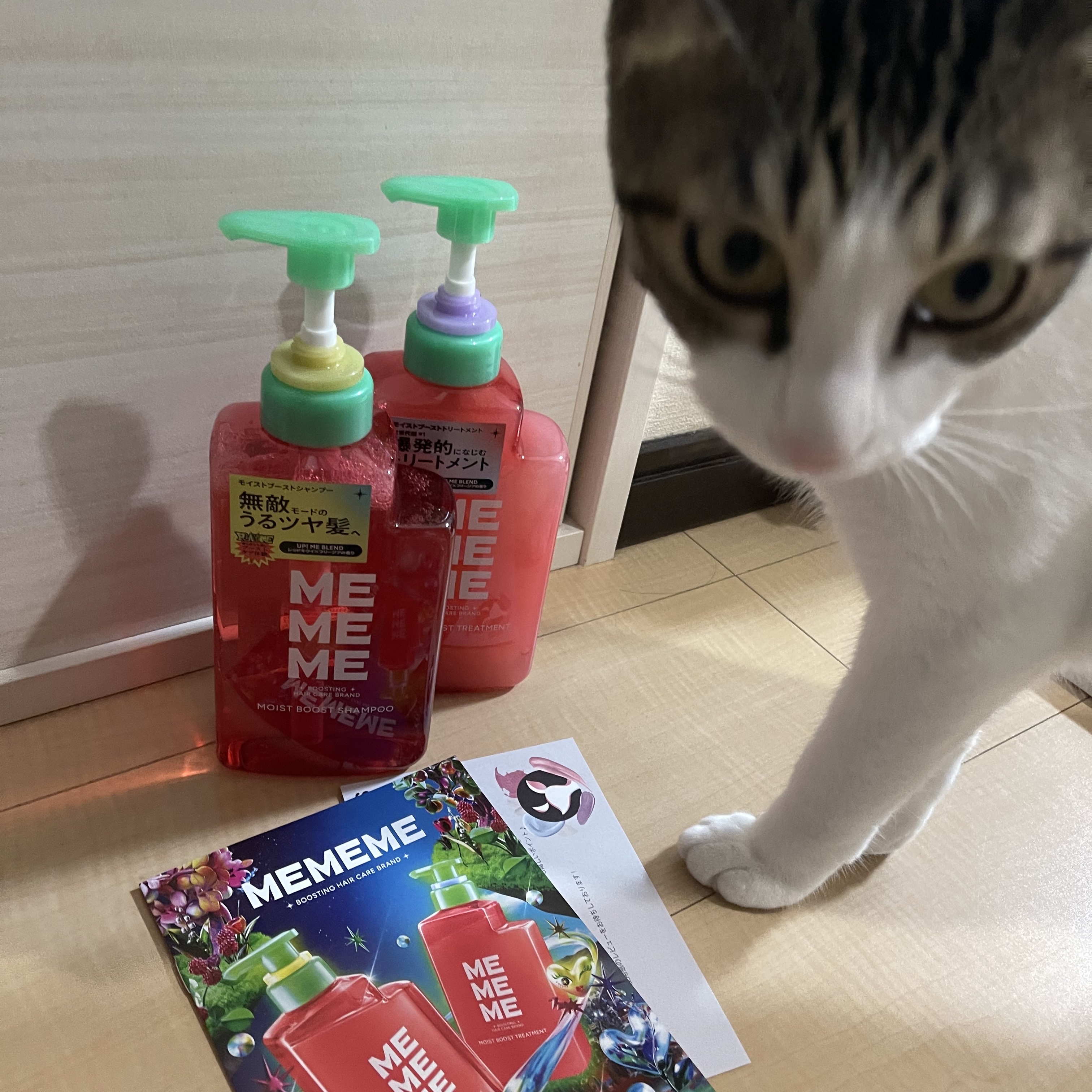モイストブーストシャンプー／モイストブーストトリートメント/MEMEME/市販シャンプーを使ったクチコミ（3枚目）