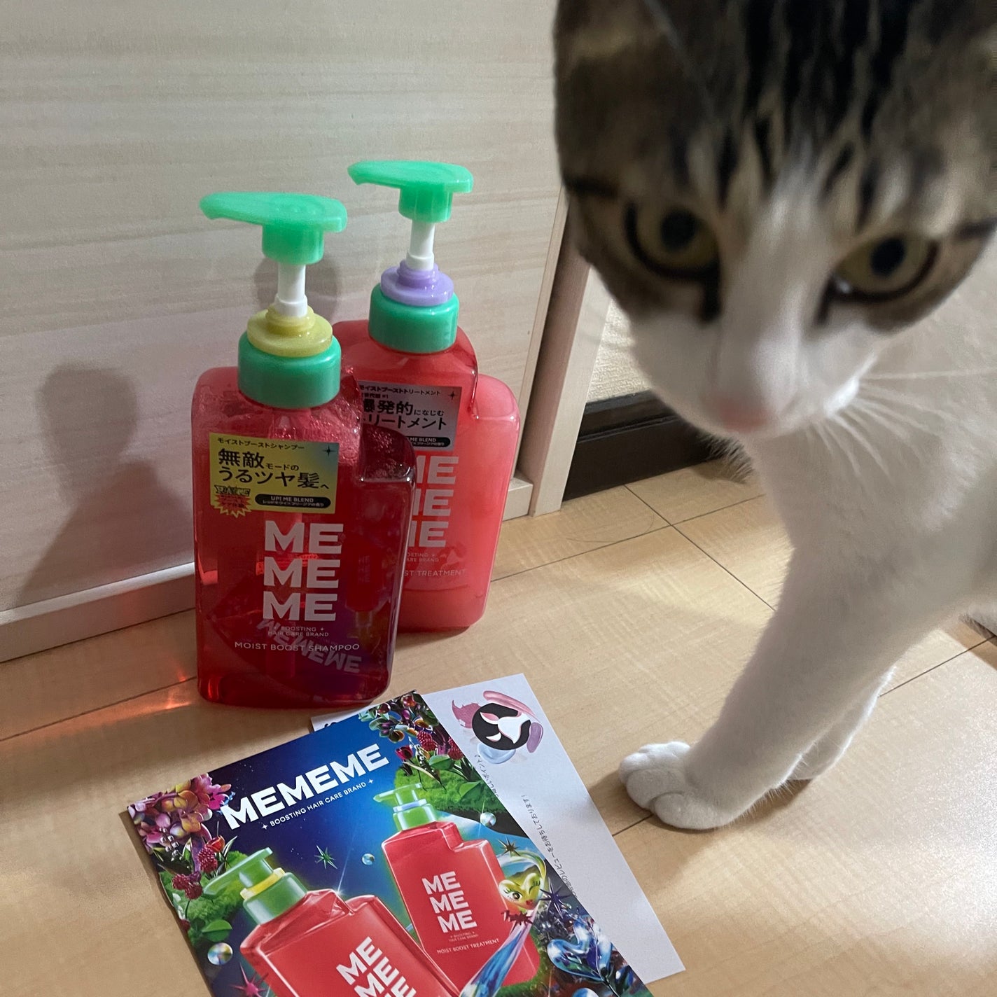 ã¢ã€ã¹ãããŒã¹ãã·ã£ã³ããŒïŒã¢ã€ã¹ãããŒã¹ãããªãŒãã¡ã³ã/MEMEME/åžè²©ã·ã£ã³ããŒã䜿ã£ãã¯ãã³ãïŒ3æç®ïŒ