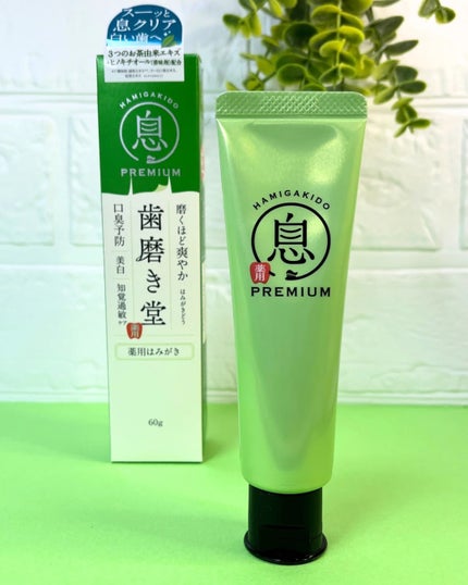 薬用フレッシュペースト【医薬部外品】/歯磨き堂/歯磨き粉を使ったクチコミ(2枚目)