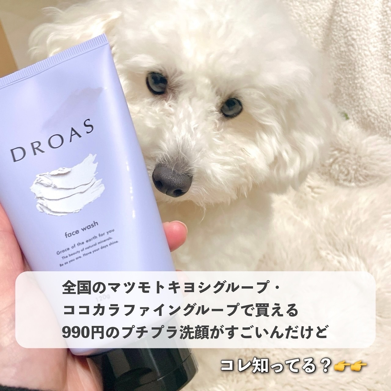 クレイクリアウォッシュ/DROAS/洗顔フォームを使ったクチコミ（2枚目）