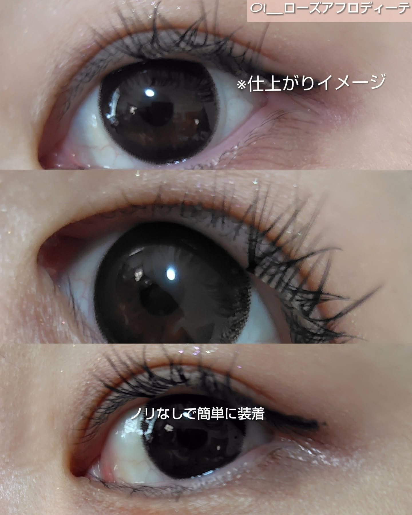 Butterfly Eyelash/BLJ/つけまつげを使ったクチコミ（2枚目）