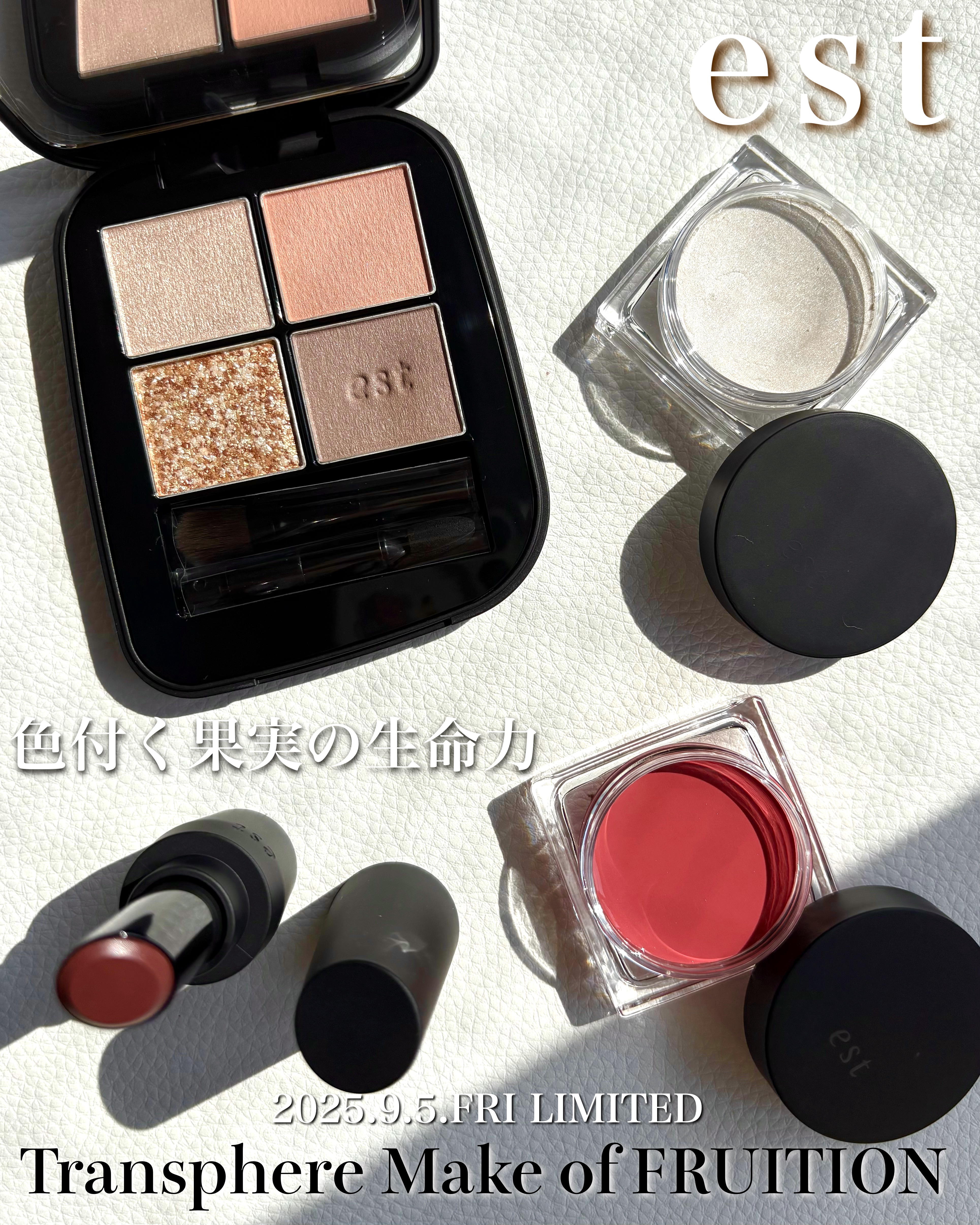 エスト トランスフィア アイカラー/est/アイシャドウパレットを使ったクチコミ（1枚目）