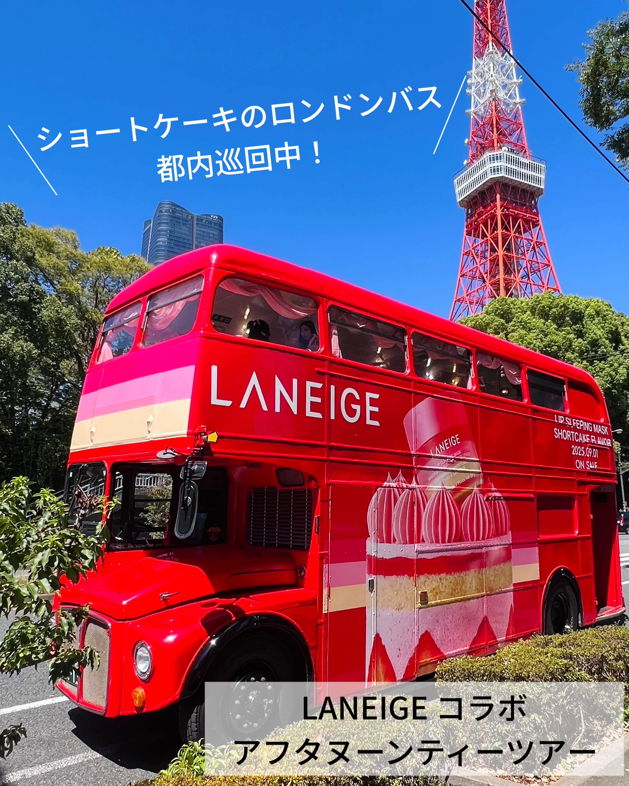 リップスリーピングマスク/LANEIGE/リップバームを使ったクチコミ（1枚目）