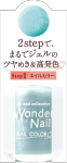 pa ワンダーネイル RWN-11