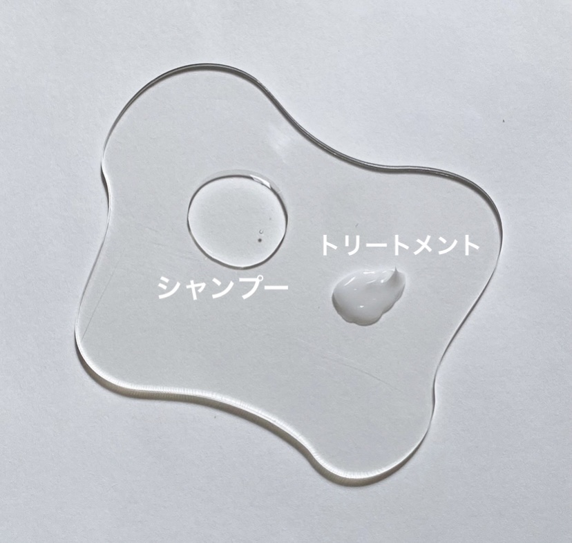 ディアボーテ ブルームドール モイスチャーイン シャンプー/トリートメント/ディアボーテ/市販シャンプーを使ったクチコミ（2枚目）